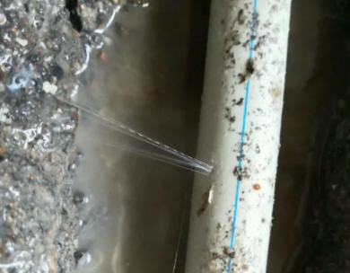 广饶测漏水哪家好