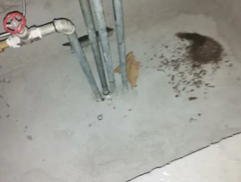 广饶卫生间测漏水价格明细