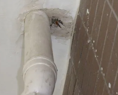 广饶漏水检测哪家好